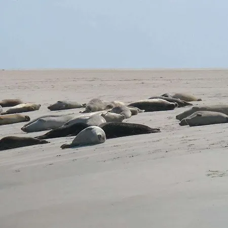 Sternenblick Comfortable Borkum